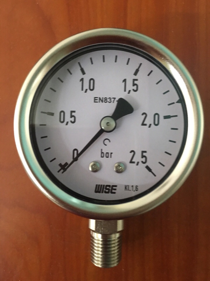 Đồng hồ áp suất WISE P252